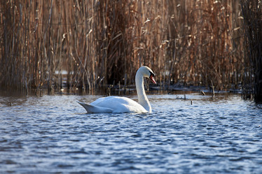 Similar image 21552083