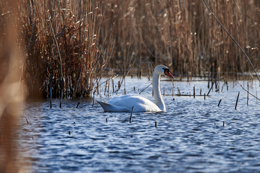 Similar image 21552084