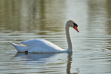 Similar image 21552085