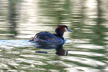 Similar image 21552086