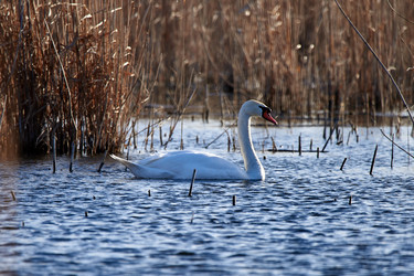 Similar image 21552087