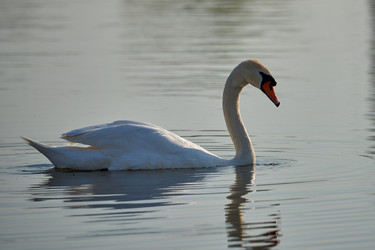 Similar image 21552089