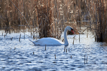 Similar image 21552091