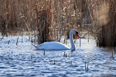 Similar image 21552092