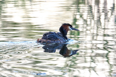 Similar image 21552093