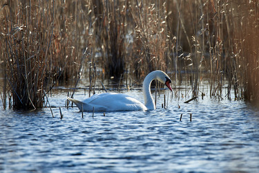 Similar image 21552094