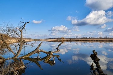 Similar image 21552099