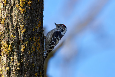 Similar image 21552103