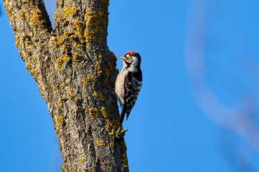 Similar image 21552104