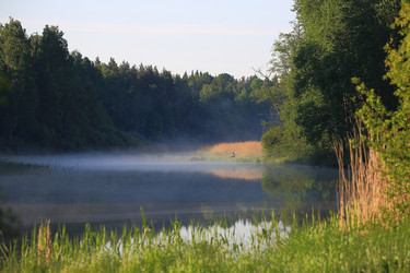 Similar image 21552720