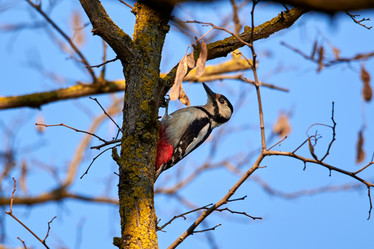 Similar image 21552108