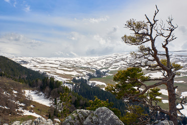 Similar image 21552111