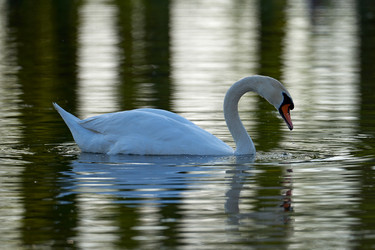 Similar image 21552113