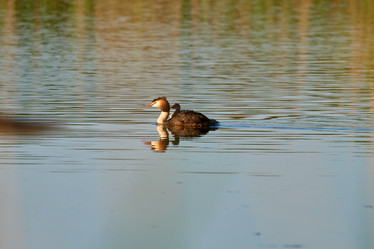 Similar image 21552114