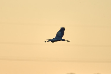 Similar image 21552117