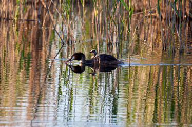 Similar image 21552119