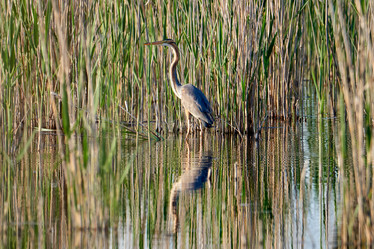 Similar image 21552242