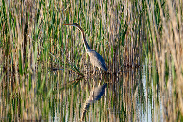 Similar image 21552244