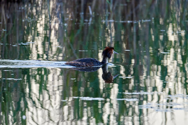 Similar image 21552245