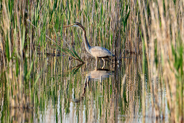 Similar image 21552246