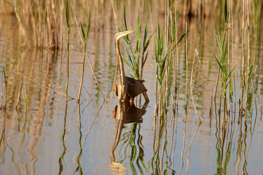 Similar image 21552248