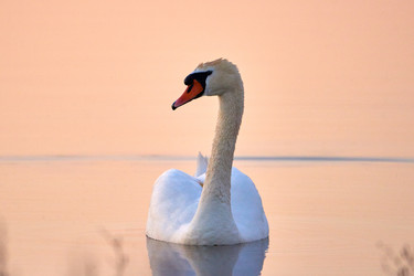 Similar image 21552250