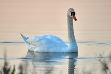 Similar image 21552255