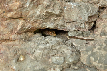 Similar image 21552256