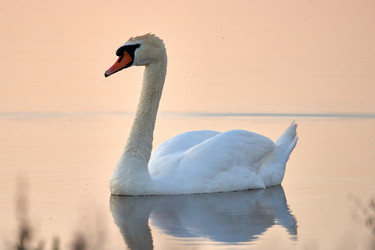 Similar image 21552257