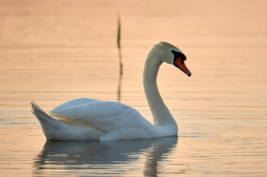 Similar image 21552260