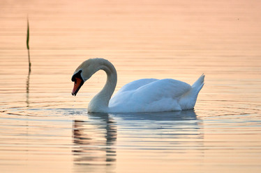 Similar image 21552263