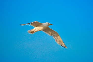 Similar image 21552266