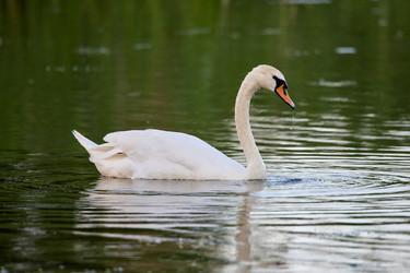 Similar image 21552267