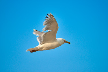 Similar image 21552269