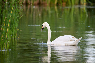 Similar image 21552270