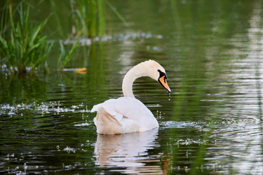 Similar image 21552271