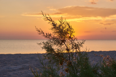 Similar image 21552274