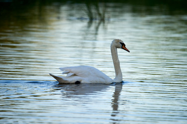 Similar image 21552275