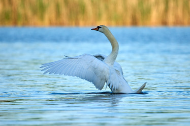 Similar image 21552277