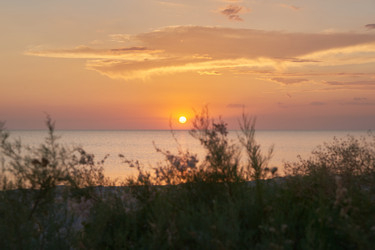 Similar image 21552278