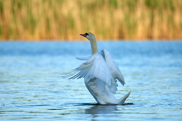 Similar image 21552281