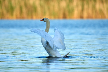 Similar image 21552283