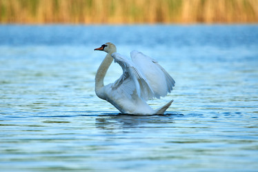 Similar image 21552285