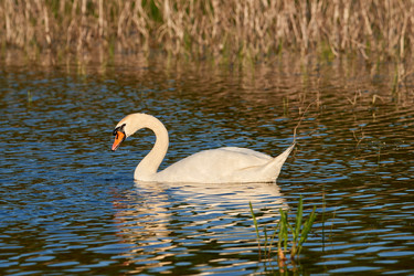 Similar image 21552290