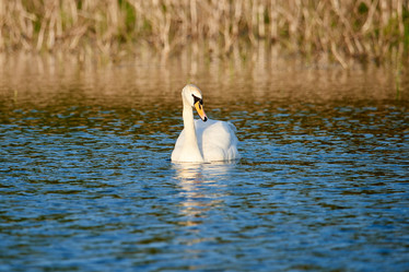 Similar image 21552291