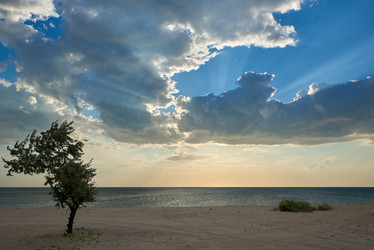 Similar image 21552308