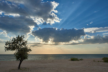 Similar image 21552324