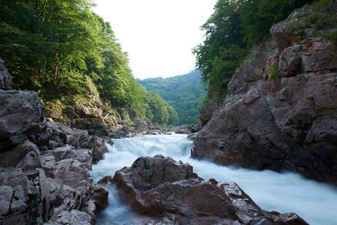 Similar image 21552592