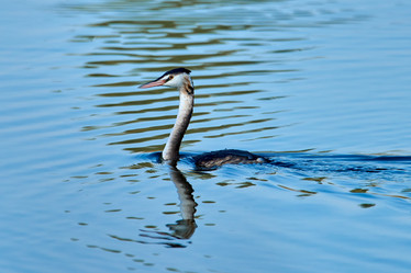 Similar image 21552599