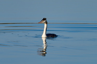 Similar image 21552600